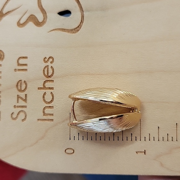 MEDITERRANEAN MUSSEL CLAMSHELL HINGED EARRINGS - Picture 7 of 8